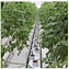 Agriculture Equipment Greenhouse Accessories Vertical Farming  Super NFT Channel Growing System
